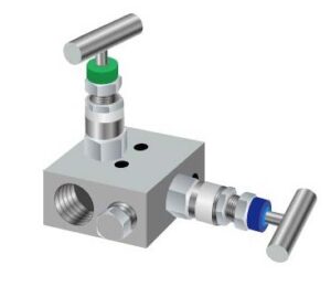 2 Way Manifold Valves 300x259