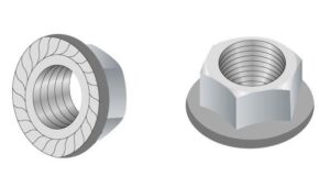 Flange Nut 300x170